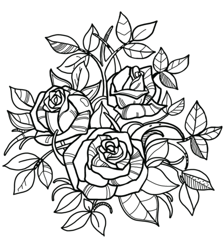 Coloring book of braid roses